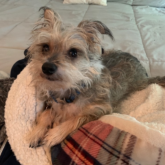 Meet your Posher, Jim - Picture 1 of 1